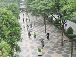 低気圧頭痛の原因となる雨